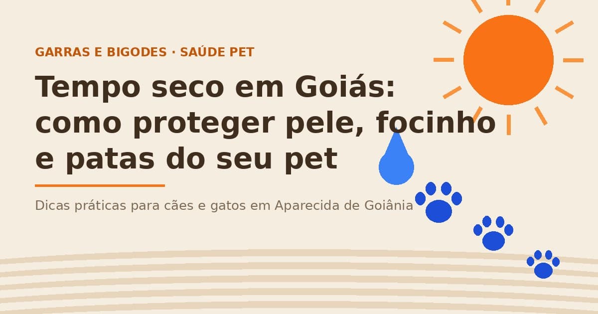 Ilustração de sol forte, gota d'água e pegadas de pet sobre fundo bege, representando os cuidados com cães e gatos no tempo seco de Goiás