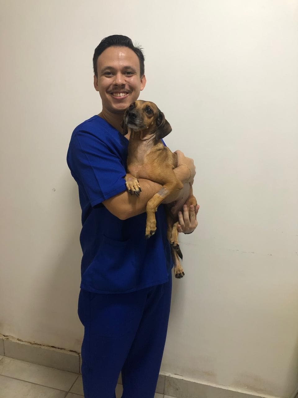 Garras e Bigodes anuncia parceria com o Dr. Wendeniz Marcelo: mais saúde e cuidado para o seu pet